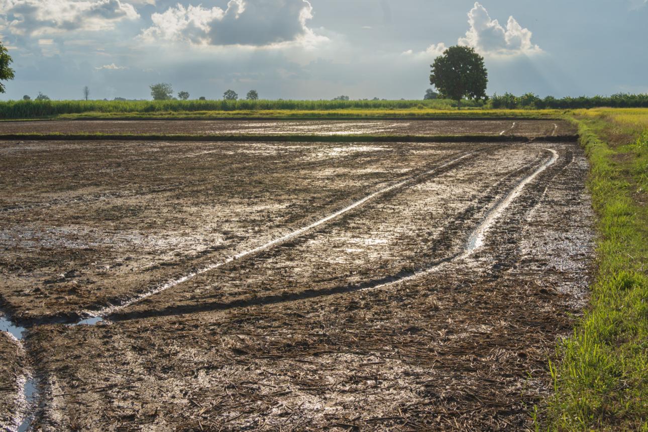 Field Preparation