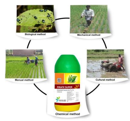 Sustainable Farming