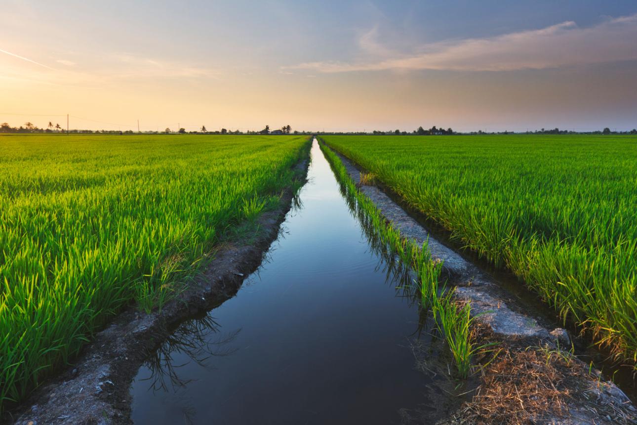 Water Management