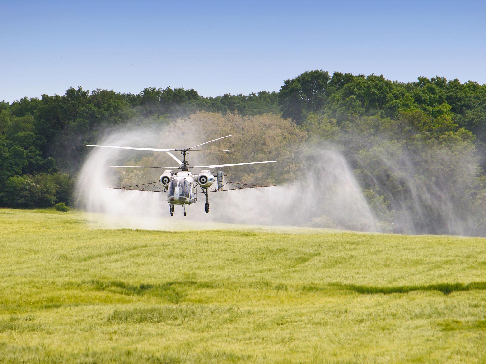 insect pests on crops